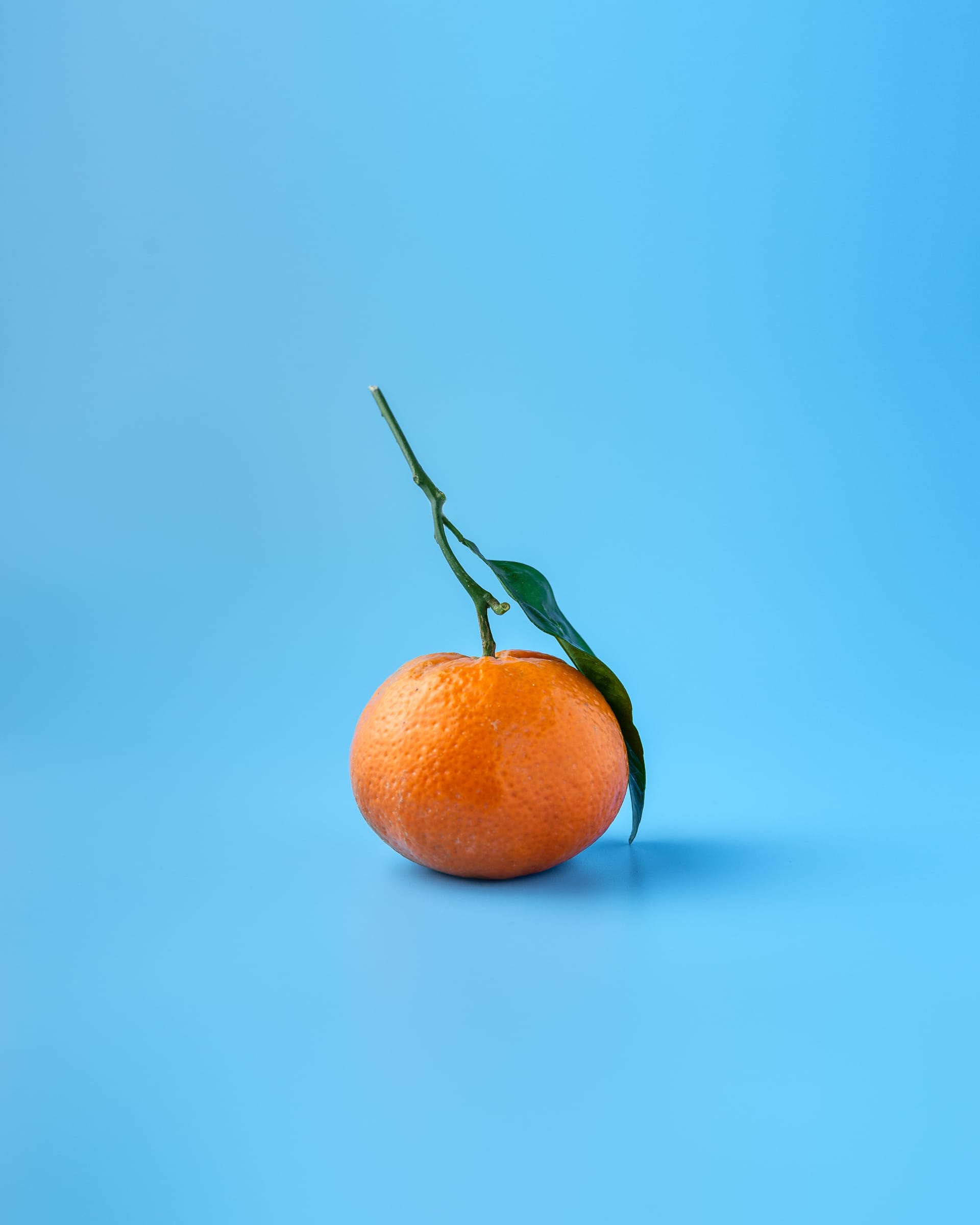 Why You NEED Vitamin C In Your Skin Care Regime
