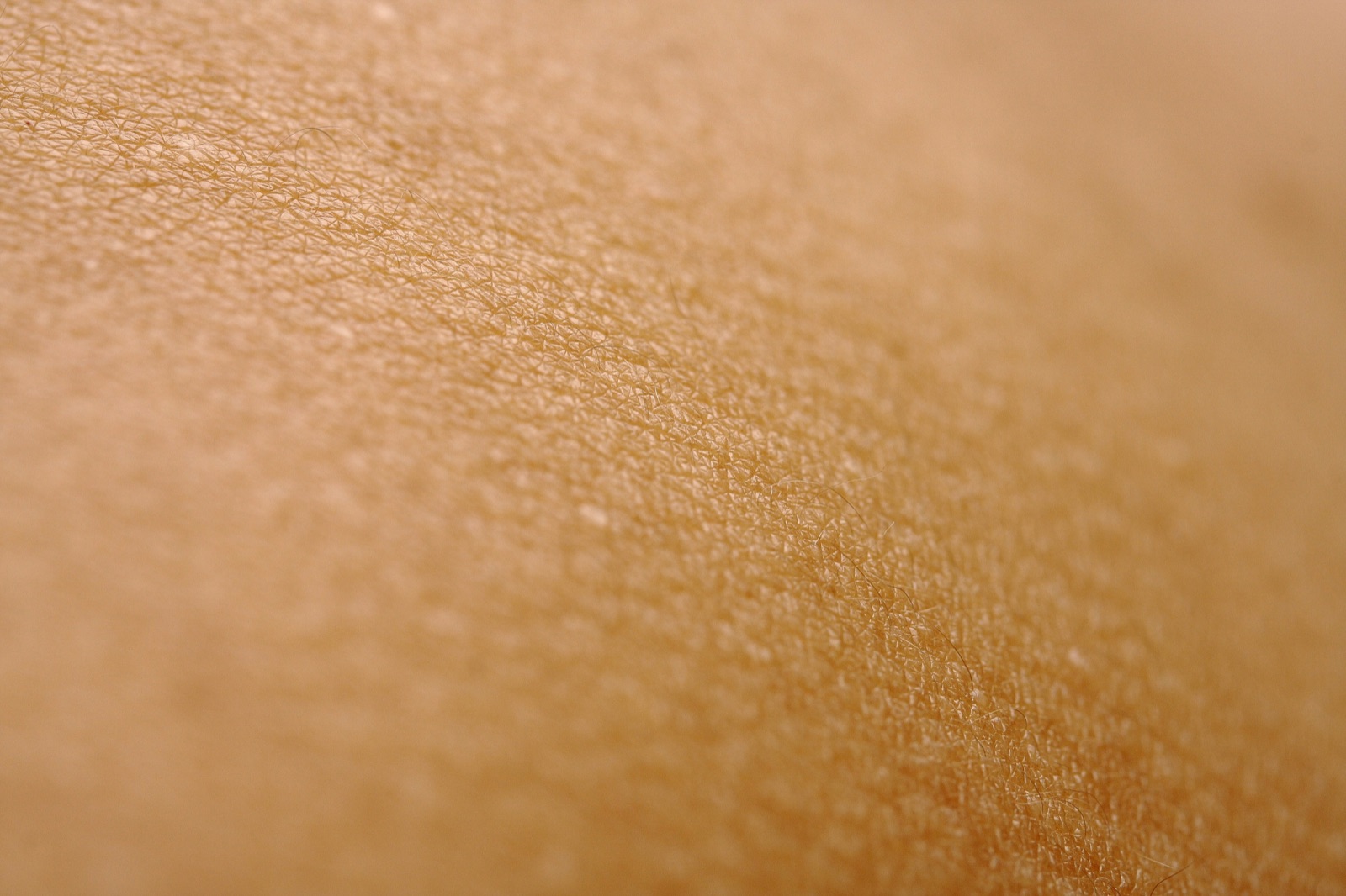 How to Repair Your Skin Barrier: Signs, Routine & Ingredients That Work